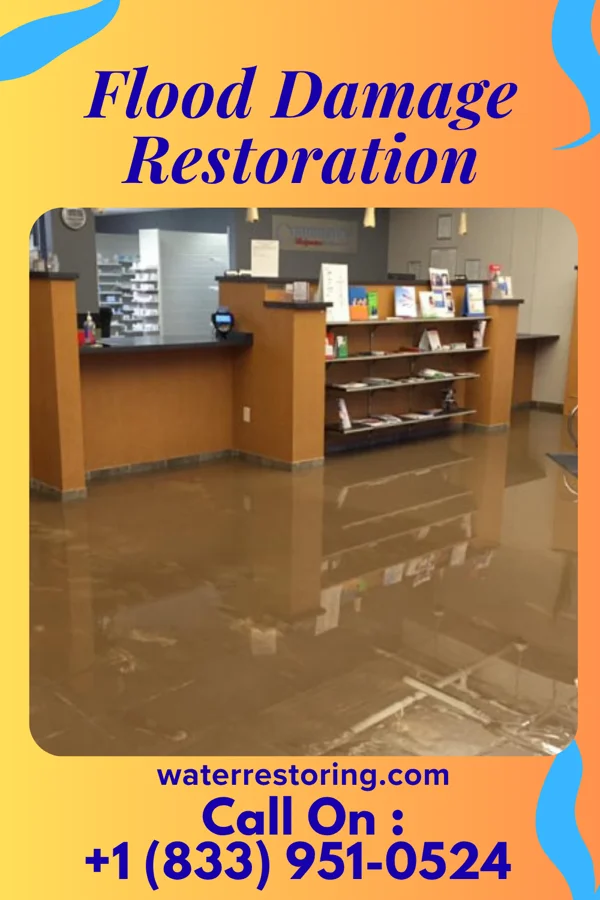 Flood Damage Restoration in White Oak, MD