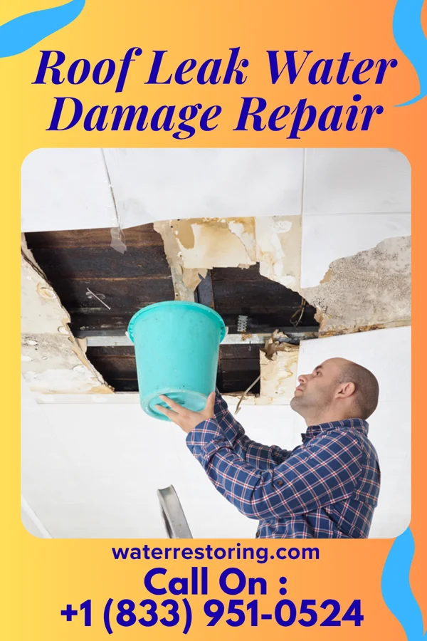 Roof Leak Water Damage Repair in White Oak, MD