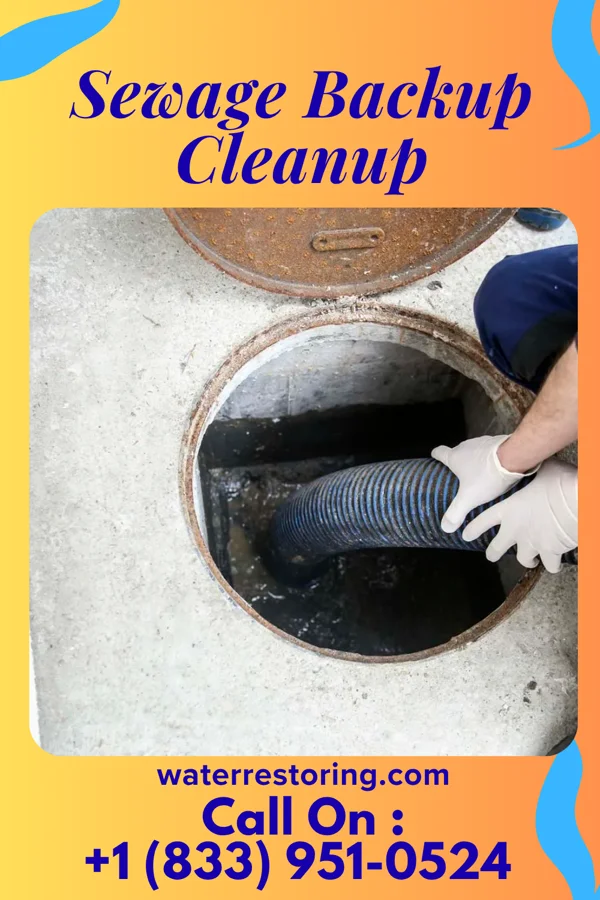 Sewage Backup Cleanup in White Oak, MD