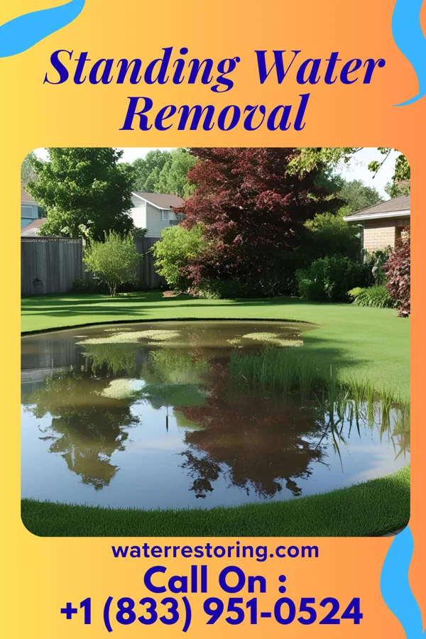 Standing Water Removal in White Oak, MD